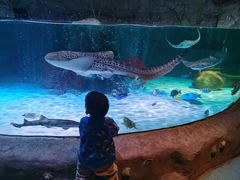 -沈阳海洋探索中心