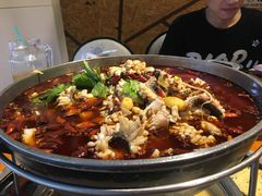 -重庆乌鱼庄·龙滋鲜(青羊大道店)
