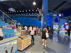 -烟台海昌鲸鲨海洋公园