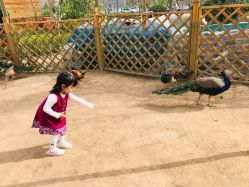 -萌宠亲子动物乐园(槐房万达店)