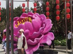 -太阳宫公园