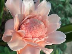 -曼听御花园