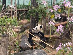 -南宁市动物园