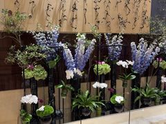 -北京四季酒店