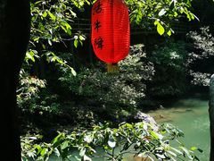 -石台牯牛降景区