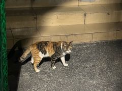 -达美乐比萨(栖霞大道店)