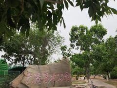 -大港湿地公园