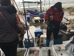 -东山码头