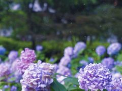 -常州古运河南大街文化旅游区-人民公园