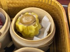 -广州都市观光巴士(粤陶巴)