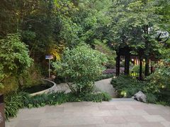 -十八棵（老龙井）御茶园(老龙井店)