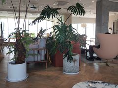 -COFFEEOLOGY咖啡学(天银店)