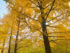 -国家植物园南园