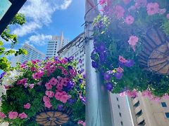 -大连湾旭日饭店(大连湾店)