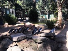 -费瑟代尔野生动物园