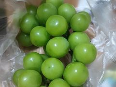 -南门绿玉农贸市场
