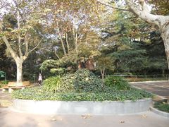 -华山儿童公园