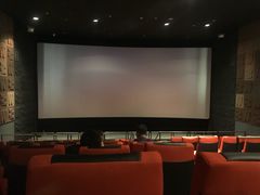 -成都百丽宫影城(LUXE太古里店)