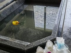 -春晖园度假酒店温泉