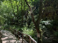 -九龙潭景区