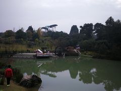 -铁山坪森林公园