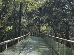 -富春桃源风景区