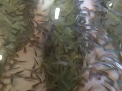 -中家鑫园温泉酒店鑫悦汤泉