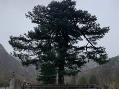 -秦岭终南山世界地质公园翠华山景区