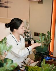-圣贝拉母婴护理中心(深圳莱佛士店)