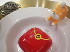 树莓巧克力-柴务处·柴犬主题狗咖