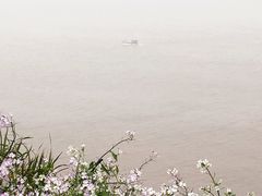 -东沙渔村