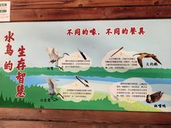 -梁鸿国家湿地公园