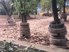 -西安秦岭野生动物园
