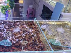 -聚盛源蒸汽海鲜火锅烤肉自助(巨川金海岸购物广场店)