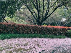 -无锡太悦度假酒店·悦餐厅
