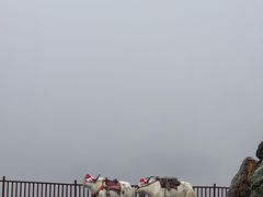 -日月山景区