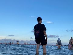 -碧海金沙