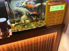 -惠丰堂饭庄(北洼路店)
