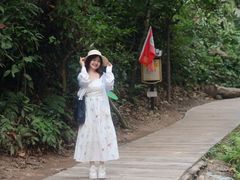 -西双版纳原始森林公园