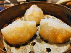 潮州蒸粉果-添运来(茶园奥园广场店)