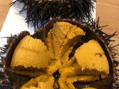 -海胆小馆(东北水饺·春柳店)