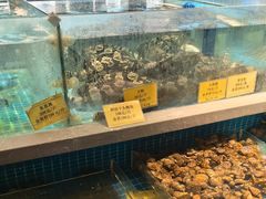 -皇宫大酒店