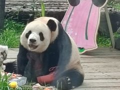 -大连森林动物园