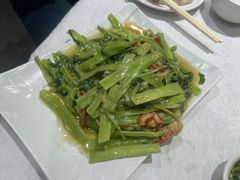 -金城小厨