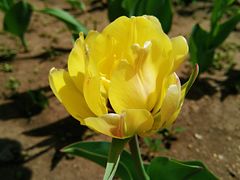 -长春公园(普阳街道)