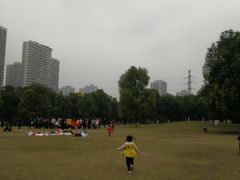 -重庆彩云湖湿地公园