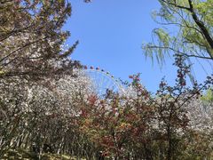 -石家庄市植物园