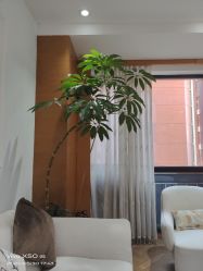-HEYAN荷妍专业脱毛连锁机构
