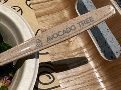 -油梨树AVOCADO TREE(嘉里中心店)
