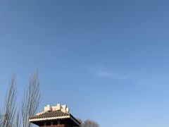 -南凉虎台遗址公园